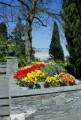 Mainau Blick auf das Glashaus